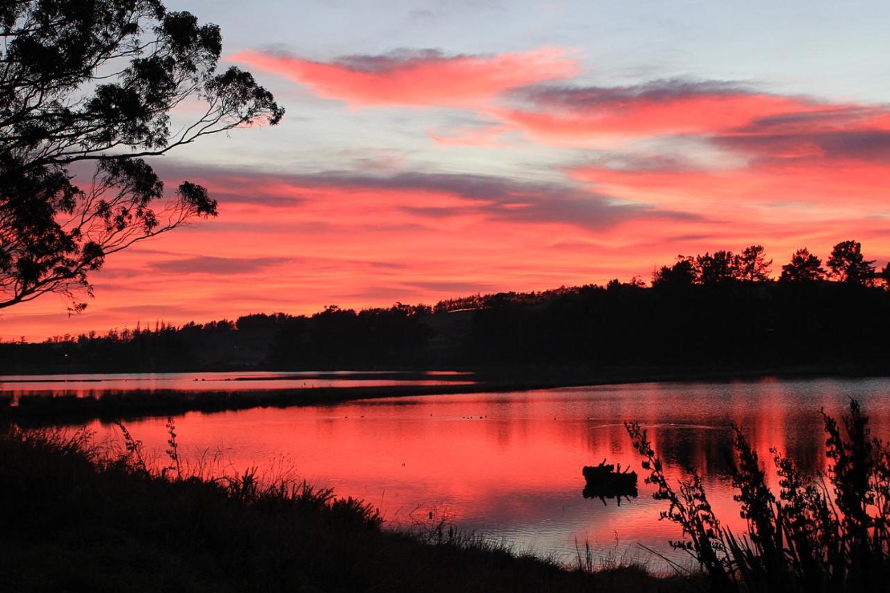 The Bird Hide - Rustic Luxury By The Water Hotel Dunedin Luaran gambar