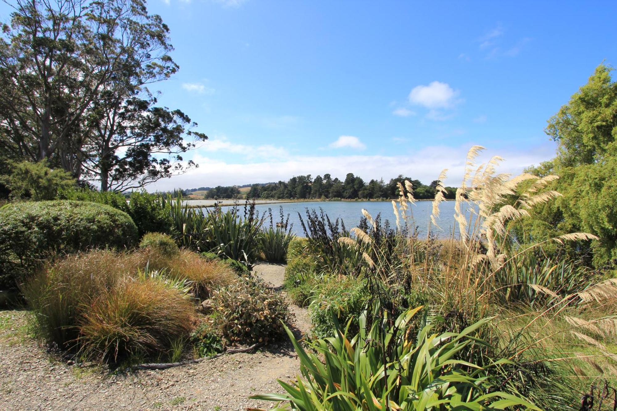 The Bird Hide - Rustic Luxury By The Water Hotel Dunedin Luaran gambar